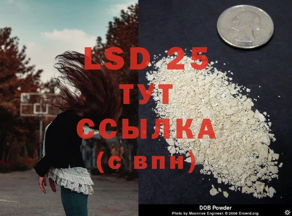 a pvp Каменногорск