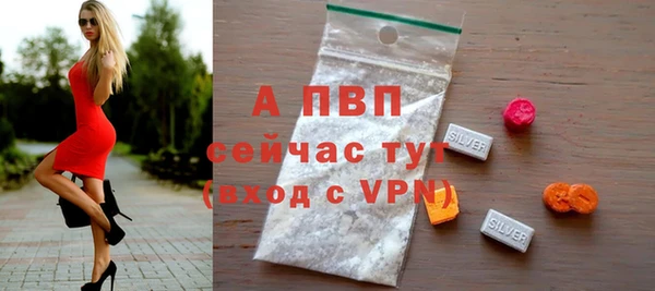 a pvp Каменногорск