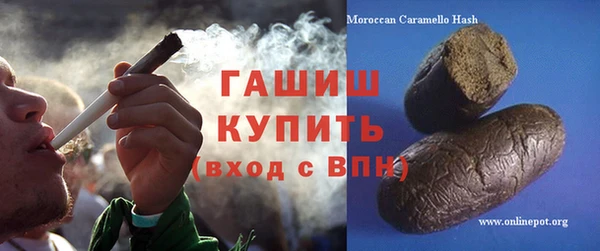PSILOCYBIN Каменка