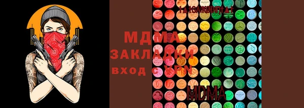 молекула духа Каменск-Шахтинский