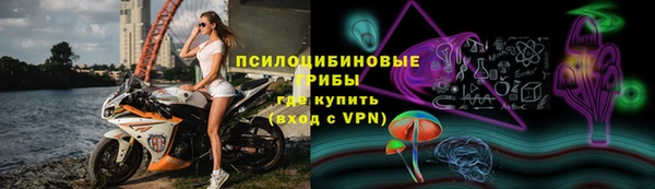 молекула духа Каменск-Шахтинский