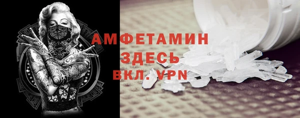 PSILOCYBIN Каменка