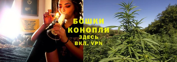 молекула духа Каменск-Шахтинский
