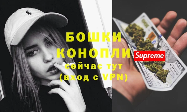 PSILOCYBIN Каменка
