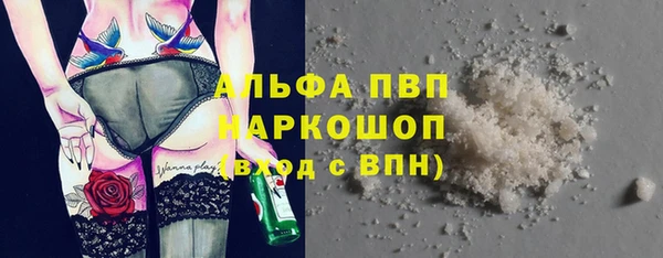 PSILOCYBIN Каменка