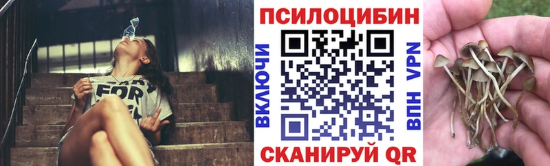 Купить закладки Бокситогорск Псилоцибиновые грибы мицелий